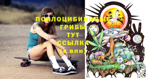 винт Алексин