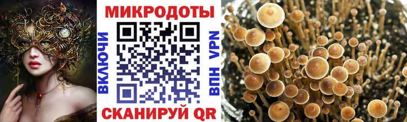 Галлюциногенные грибы прущие грибы закладка Плавск